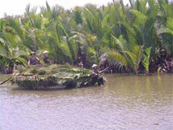 Local women carry water coconut leaves on the Thu Bon River to Bay Mau Coconut Village in Quang Nam Province.