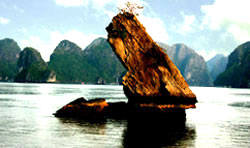 Rockin’: The beautiful landscape of Bai Tu Long Bay as seen from Quan Lan Island. - File Photos