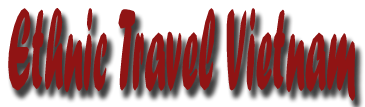 Homepage